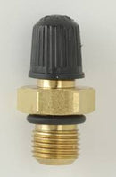 Schrader Speciality Fuel Valve M10 x 1