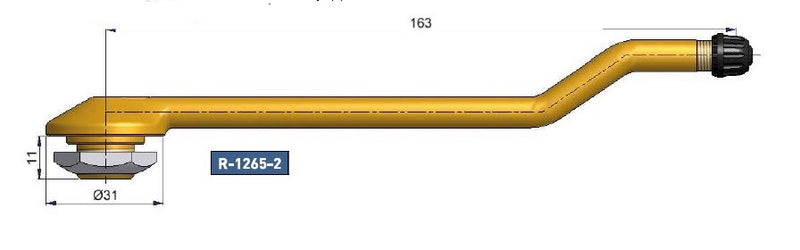 R1265-2 Brass Truck Tyre Valve 163mm Rim Hole 20.5mm