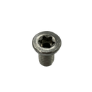 Schrader Torx Screw for Securing TPMS Sensors