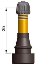 TR600HP Transit Valve Bag of 10 Special Snap In Valve